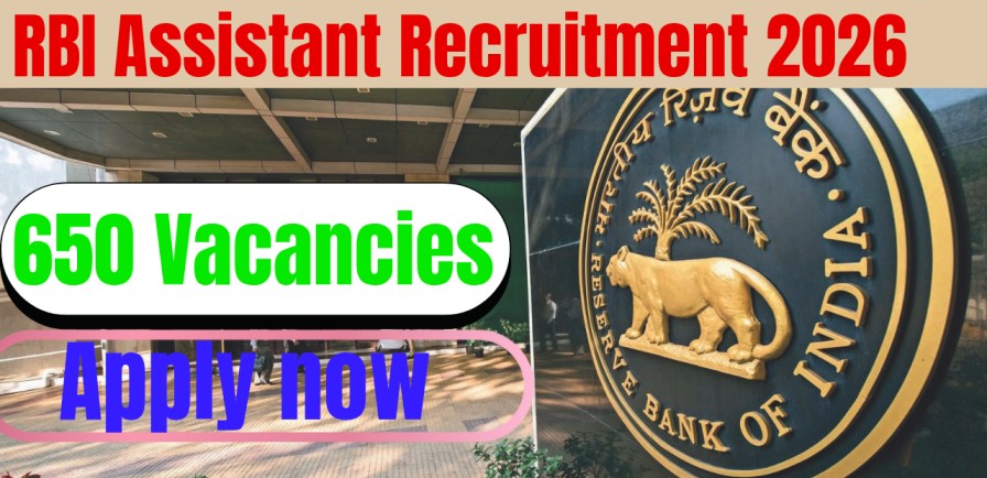 RBI Assistant Recruitment 2026: 650 Post
